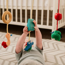 QToys Australia (USA) BABY GYM